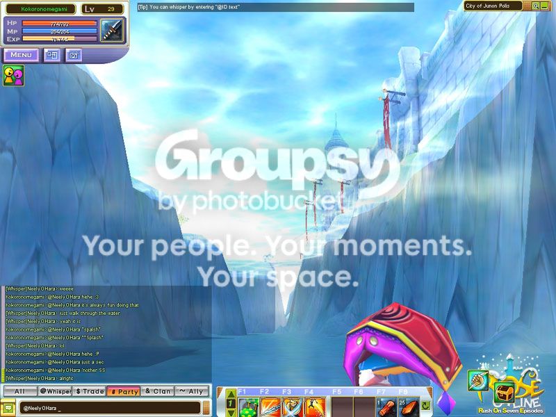 User Image